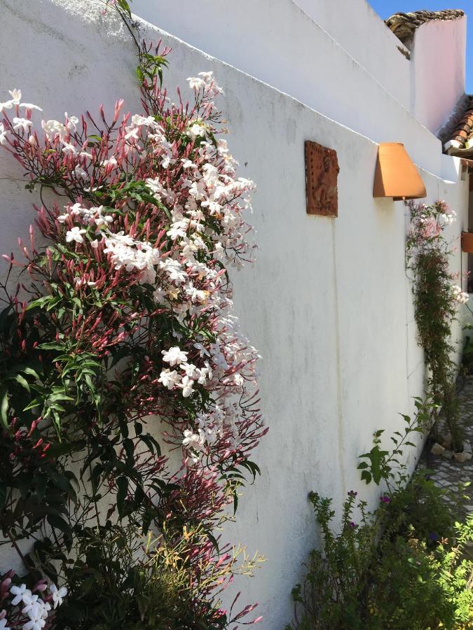Villa Casa da Galega Golegã Esterno foto